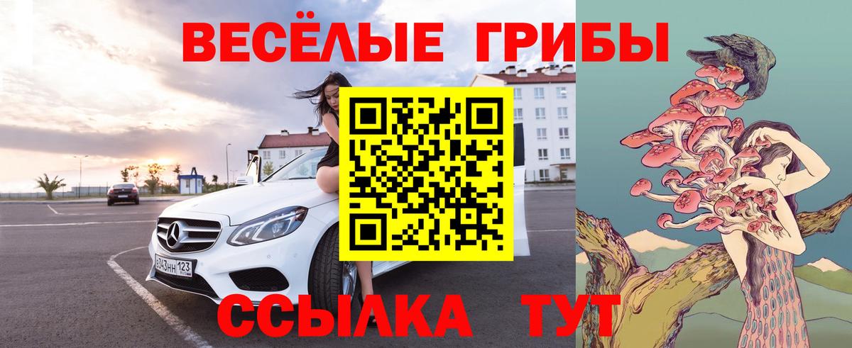 закладка  Вход с VPN  Гуково  Псилоцибиновые грибы мухоморы  Галлюциногенные грибы MAGIC MUSHROOMS 