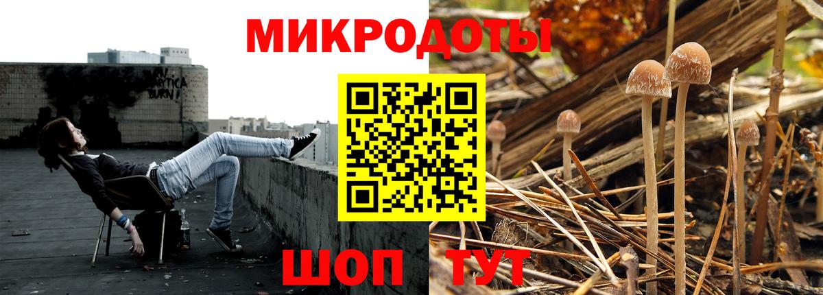 Галлюциногенные грибы ЛСД Гуково